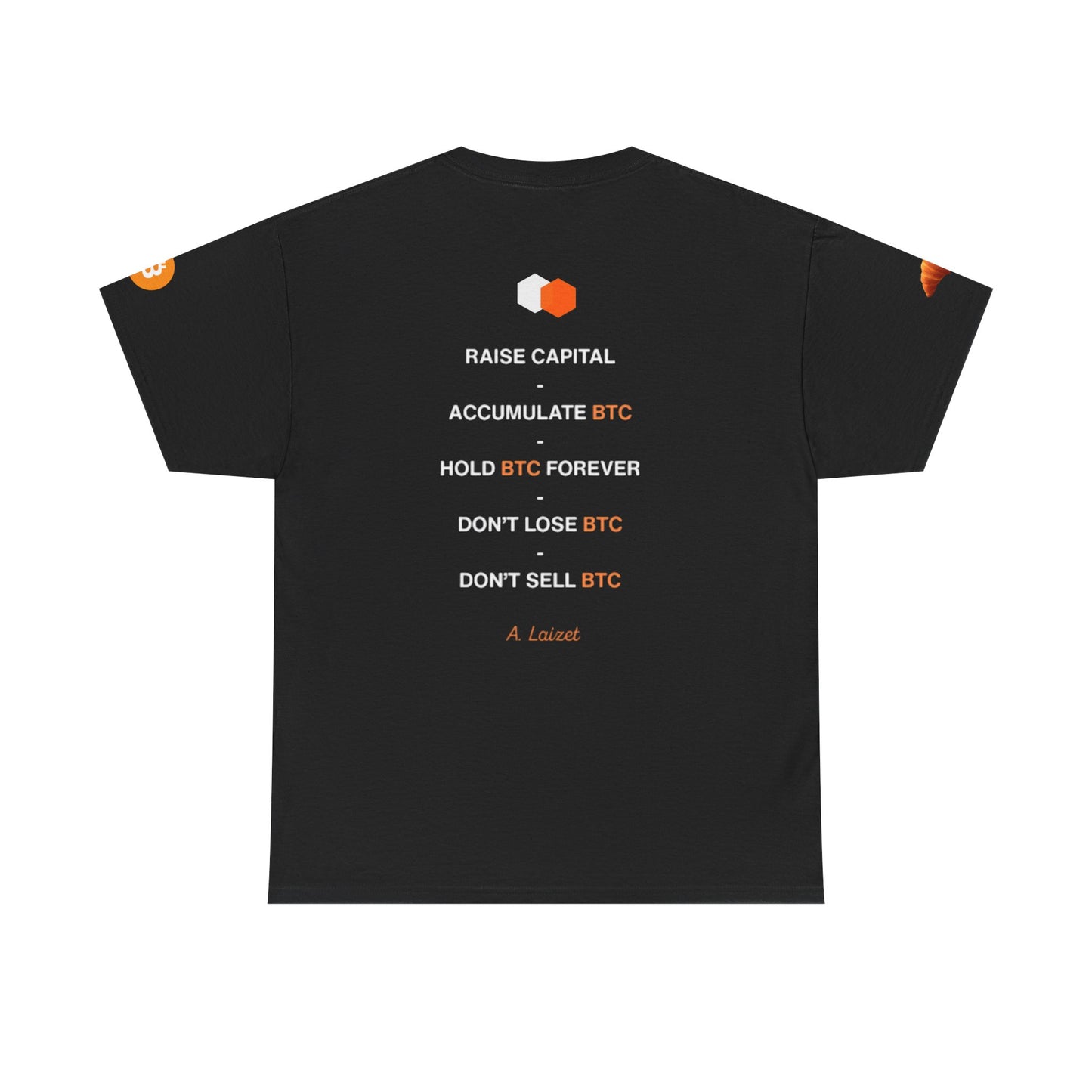 The Blockchain Group ₿TheMooon2030 Design